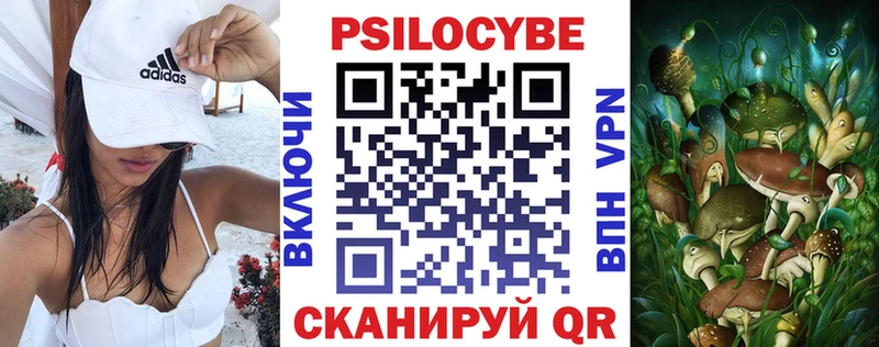 Купить  Пустошка  Псилоцибиновые грибы Cubensis 